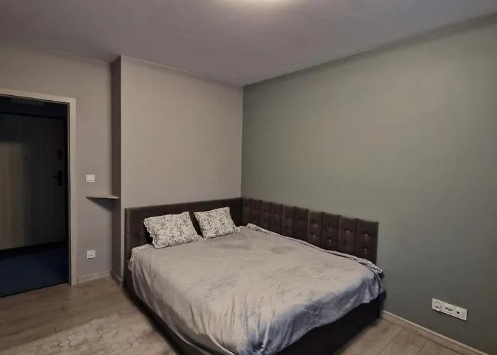 Mieszkanie W Poznaniu Apartment *